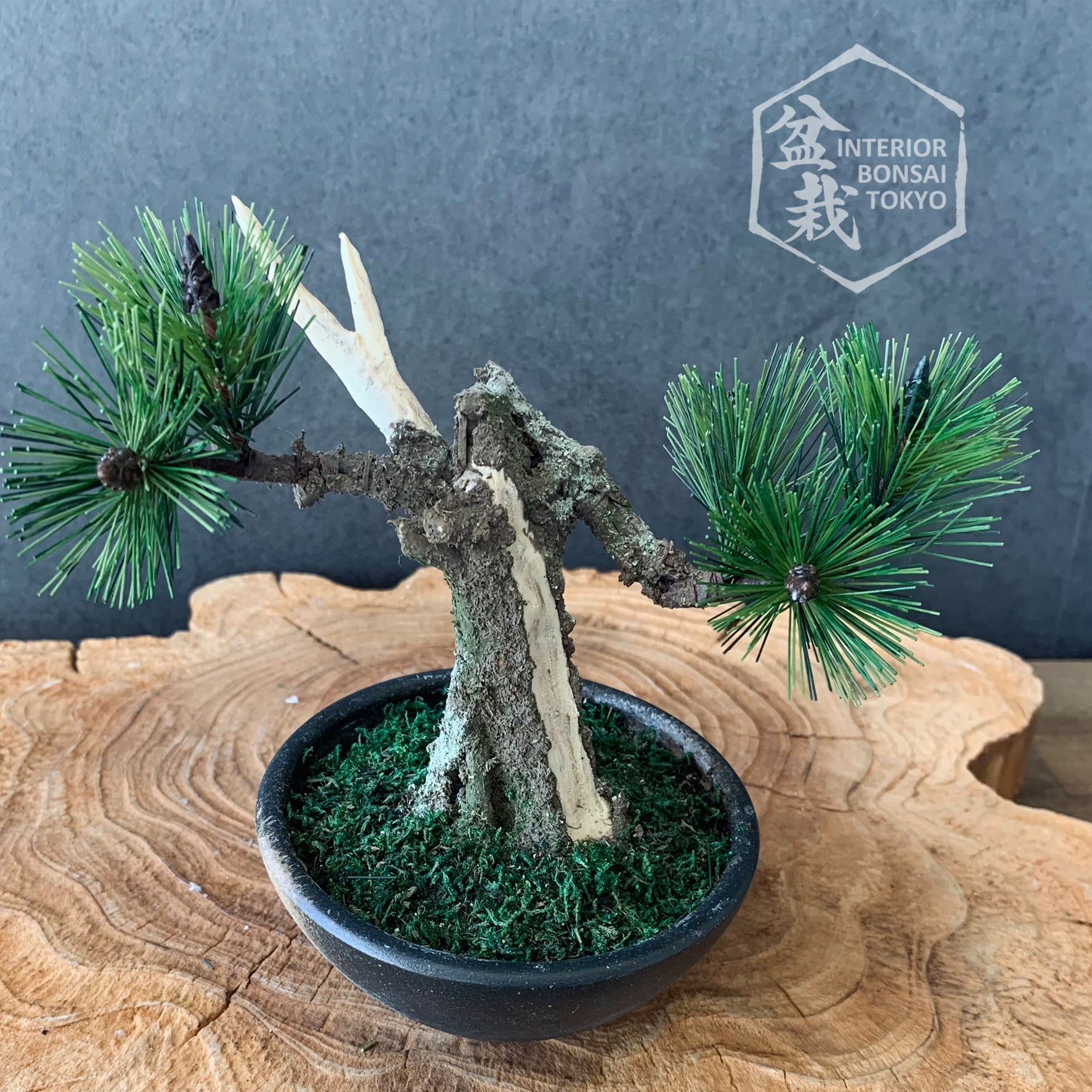 japanese mini tree bonsai Artificial Bonsai】Mini_0031 Jin style