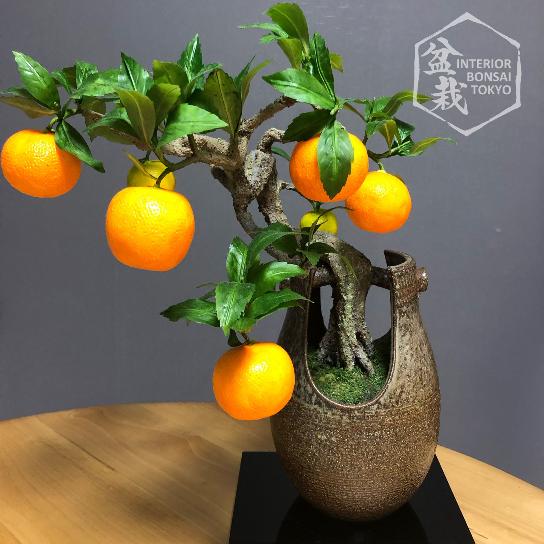 bonsai tangerine tree Artificial Bonsai】Mikan