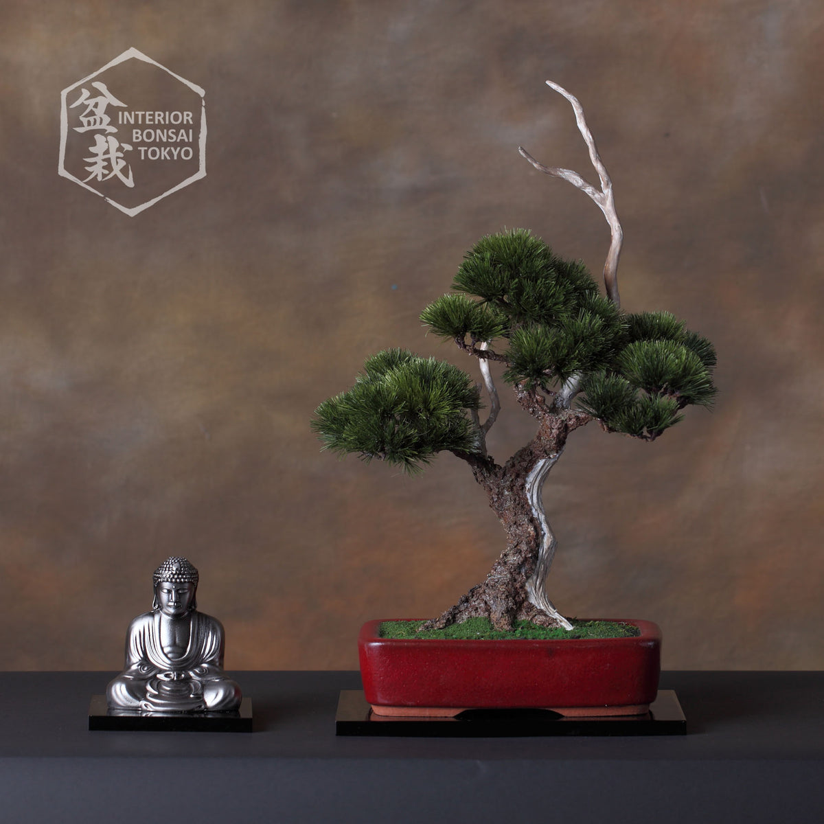 【Artificial Bonsai】Masamune