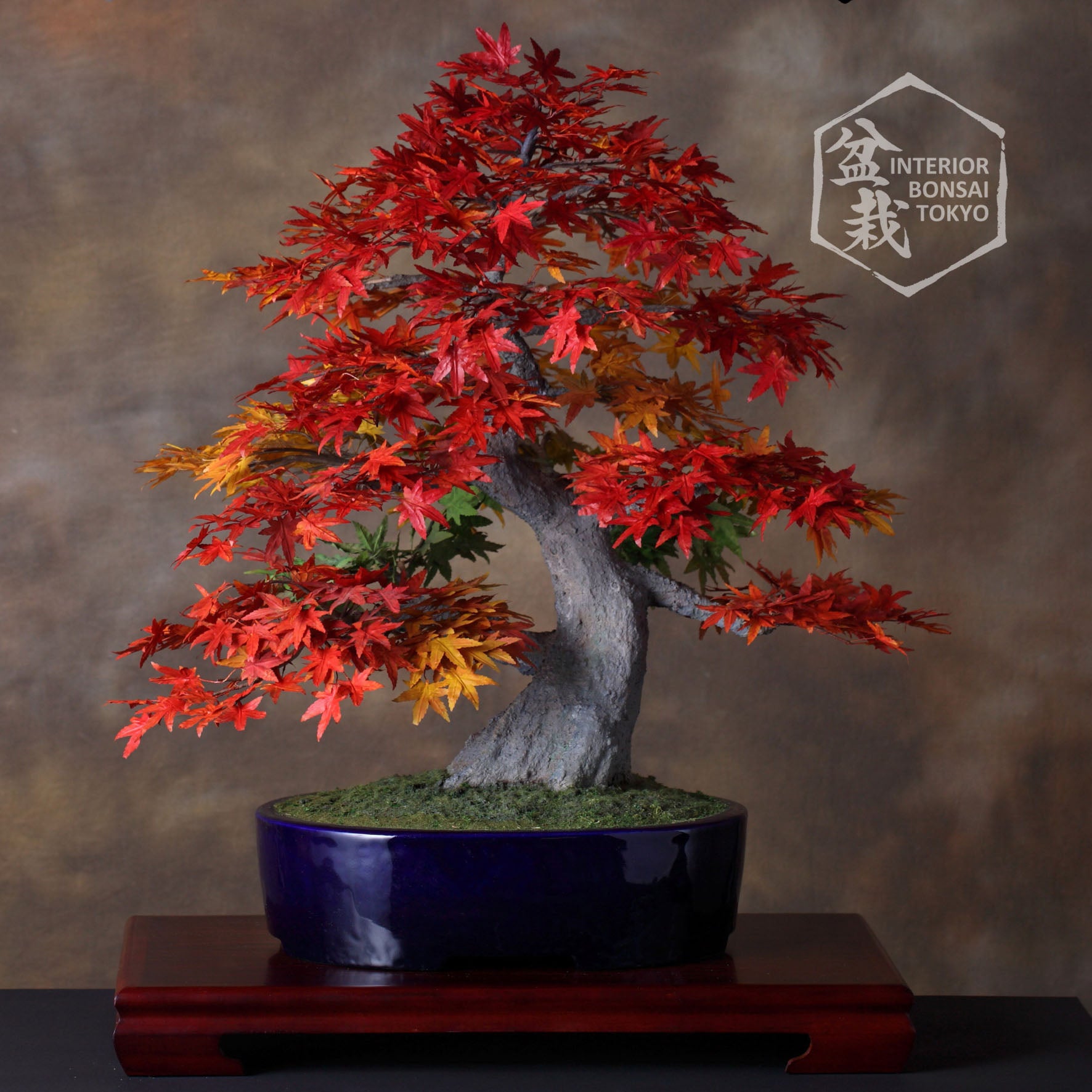 bonsai tree artificial Artificial Bonsai】Nobunaga