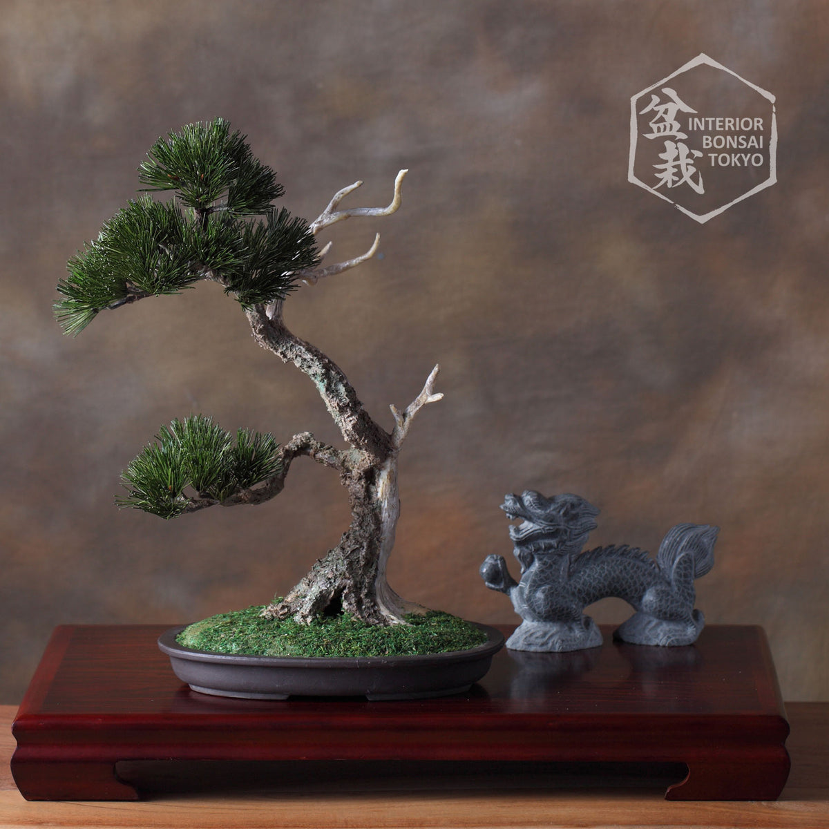 【Artificial Bonsai】Tadakatsu