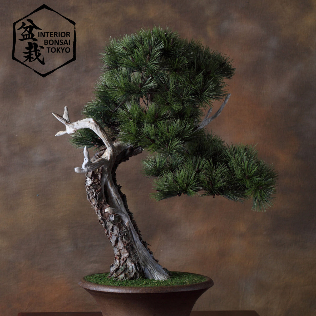 【Artificial Bonsai】Benkei