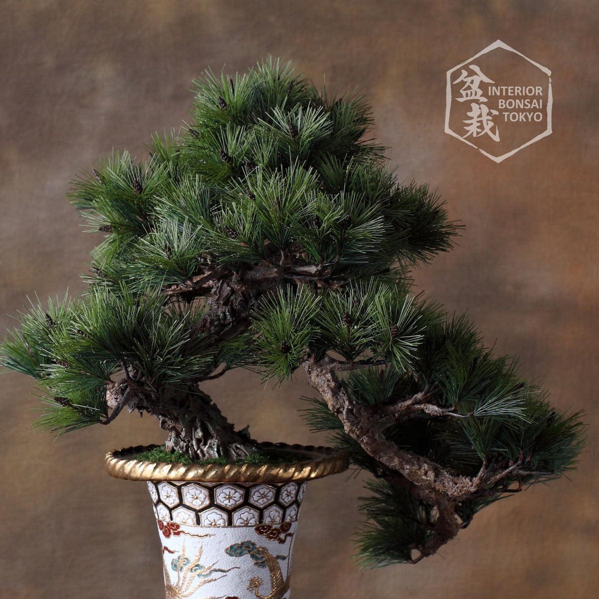 【Artificial Bonsai】Murasaki Shikibu