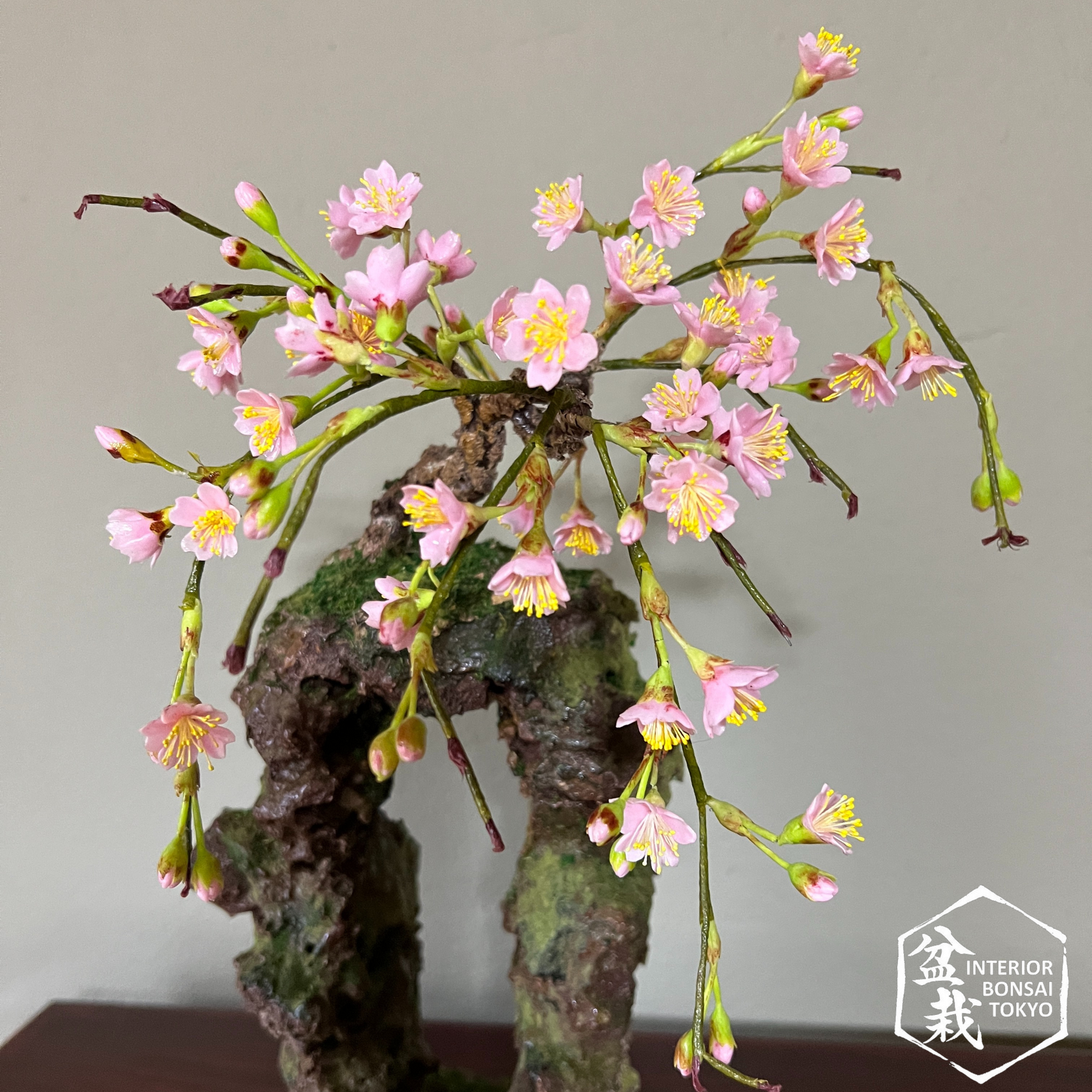 japanese cherry blossom bonsai tree Artificial Bonsai】Sakura