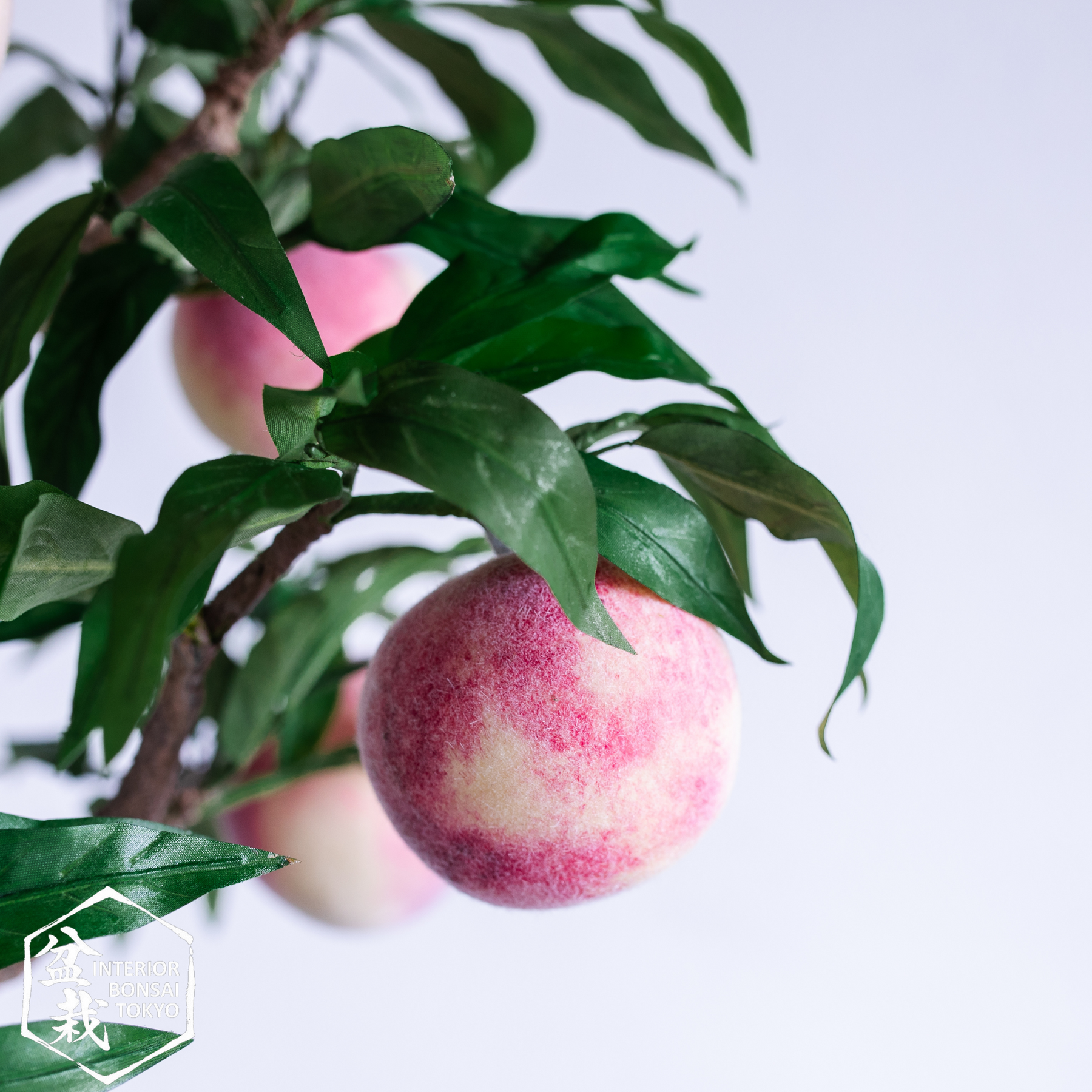 bonsai peach tree for sale Artificial Bonsai】Momo_3