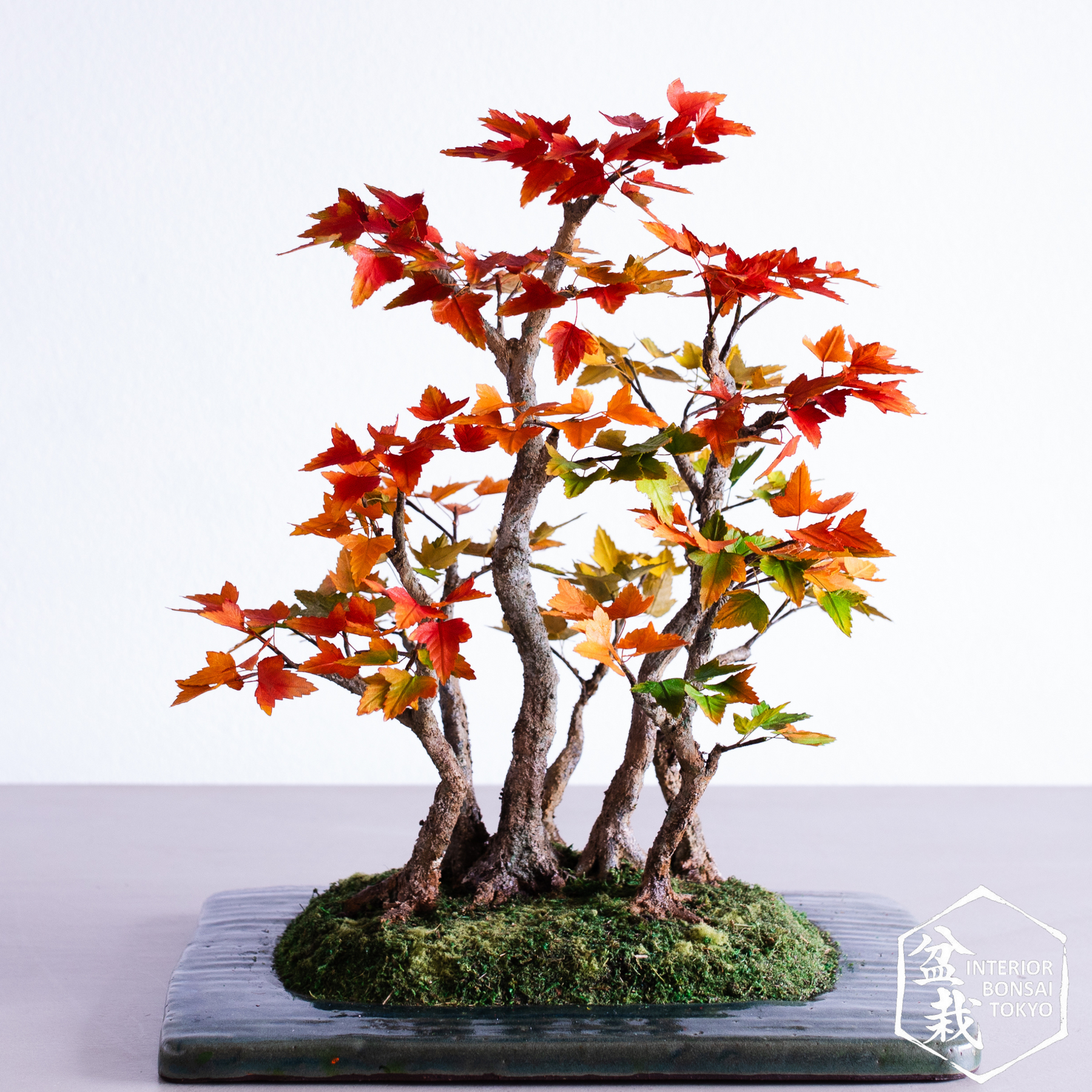 artificial japanese bonsai tree 【Artificial Bonsai】Seishonagon