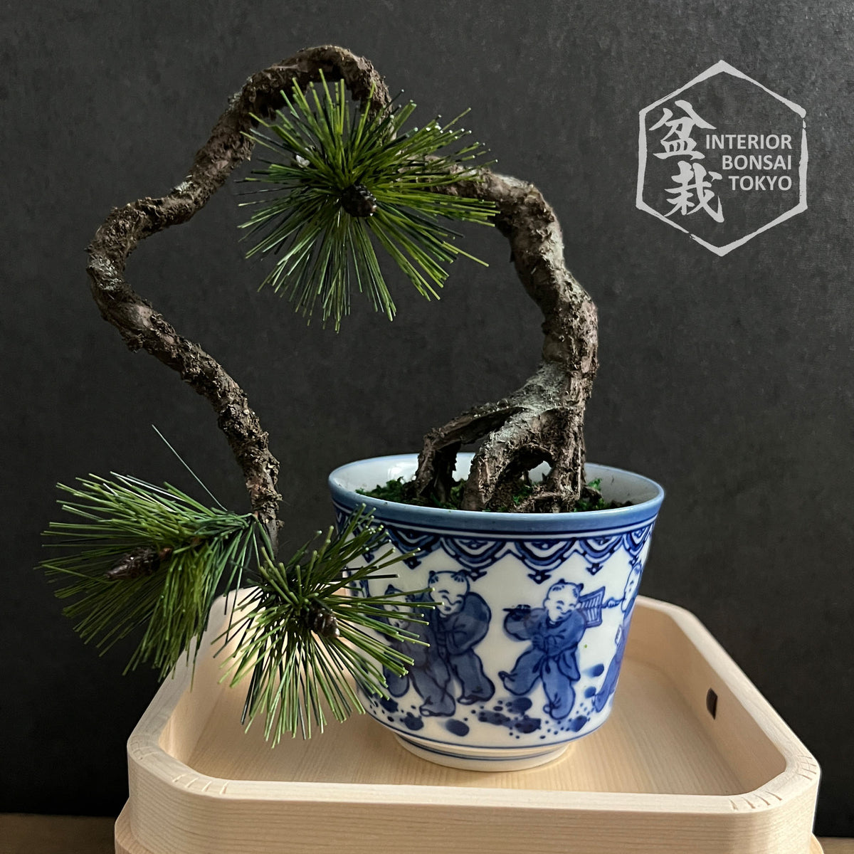 [Bonsai artificiale] Mini_0055