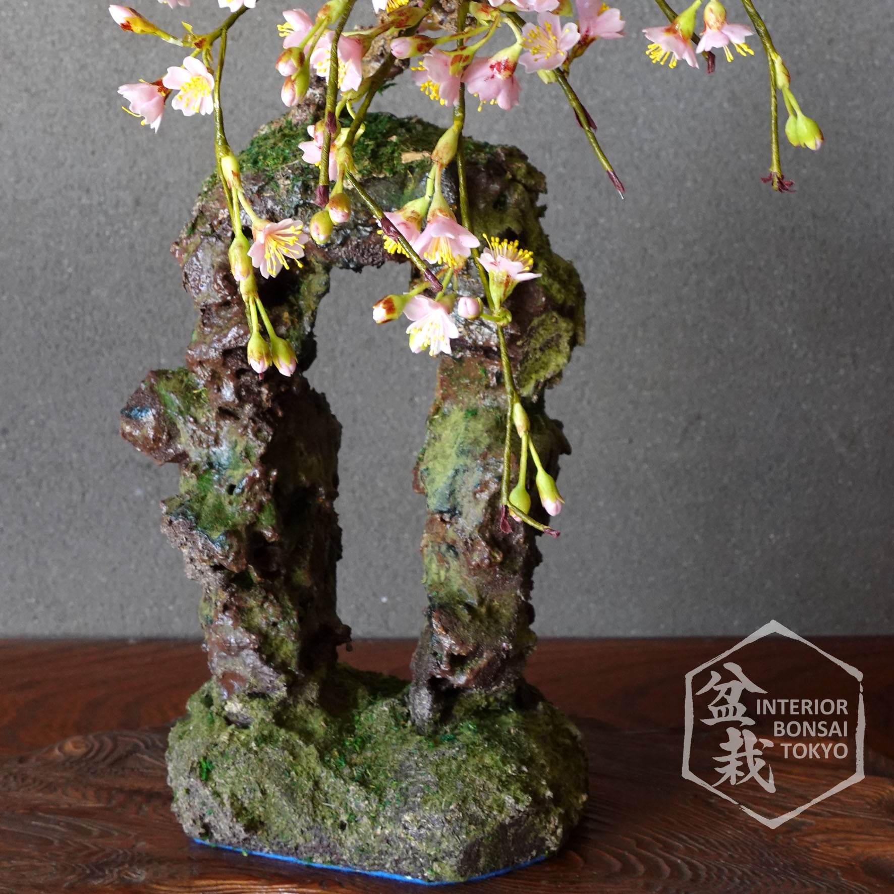 bonsai sakura tree Artificial Bonsai】Sakura