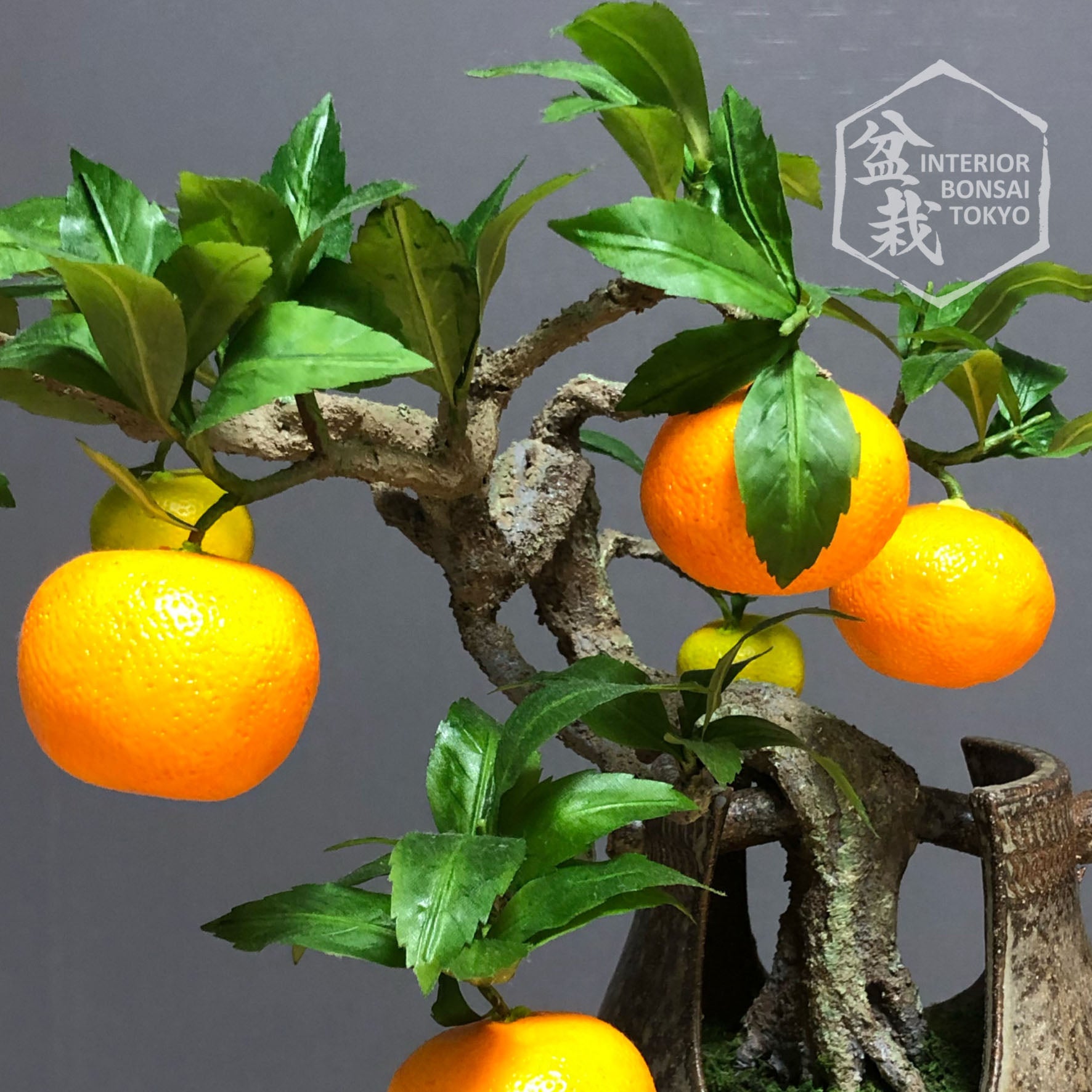 bonsai mandarin orange tree Artificial Bonsai】Mikan