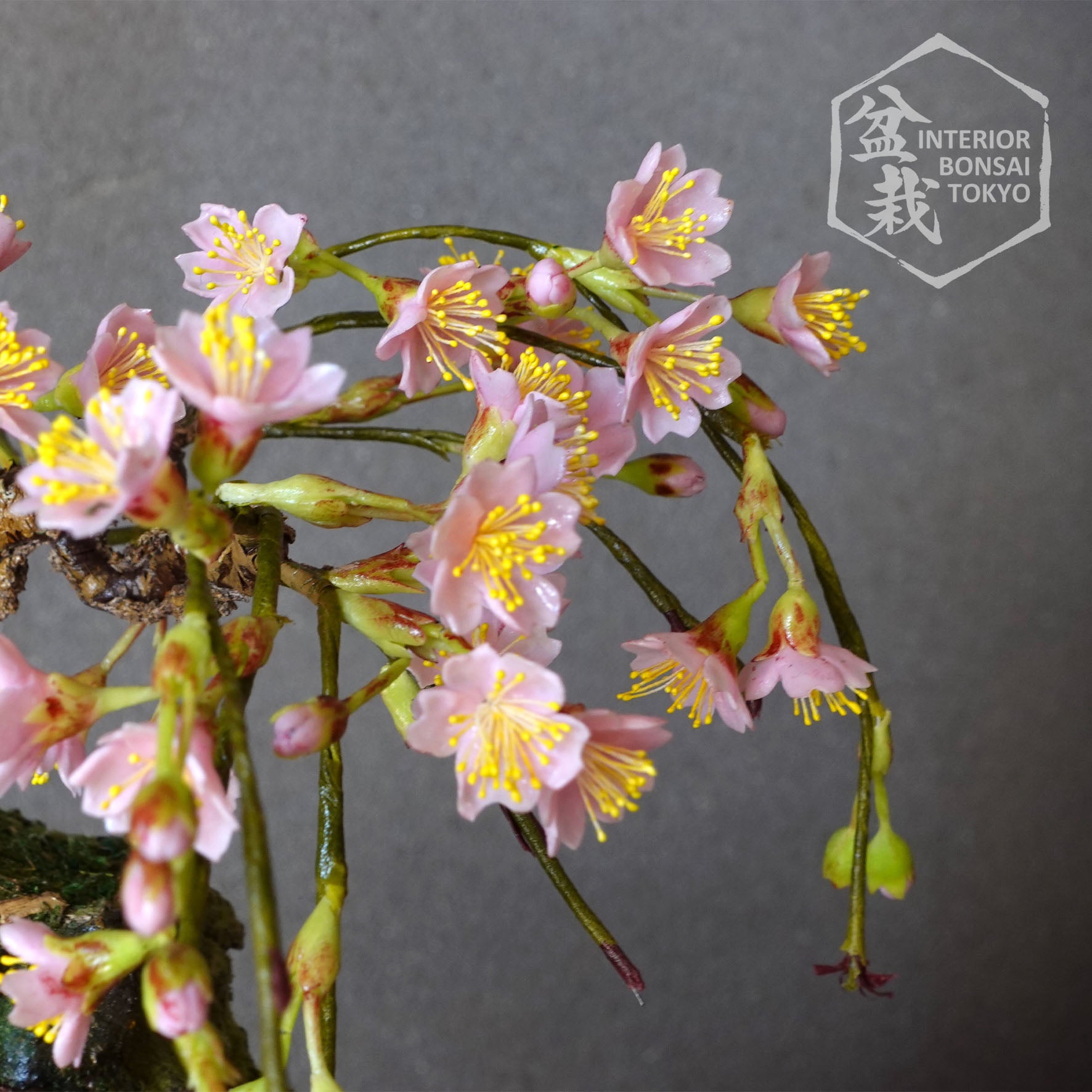 silk cherry blossom bonsai tree Artificial Bonsai】Sakura