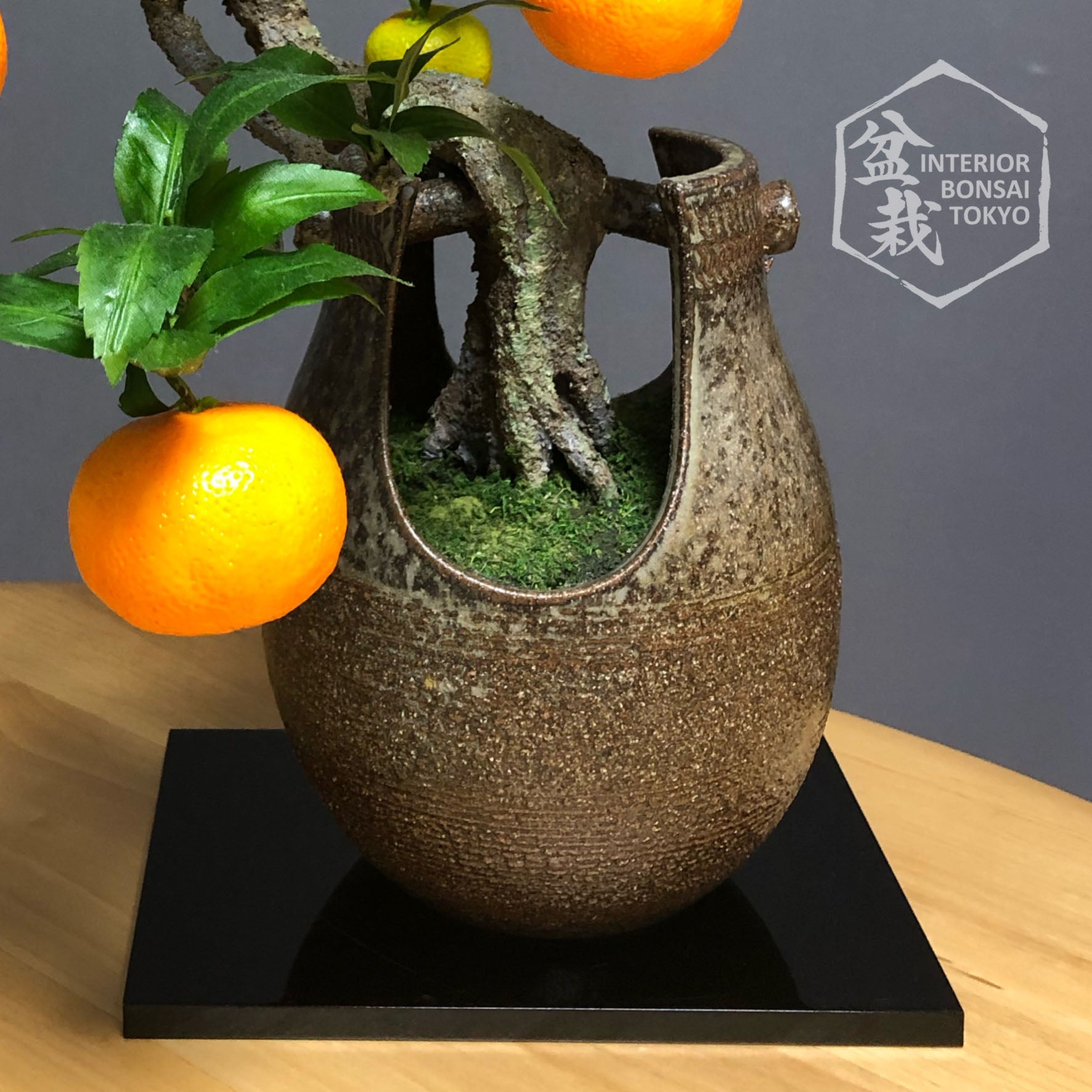 where to buy bonsai trees in orange county Artificial Bonsai】Mikan