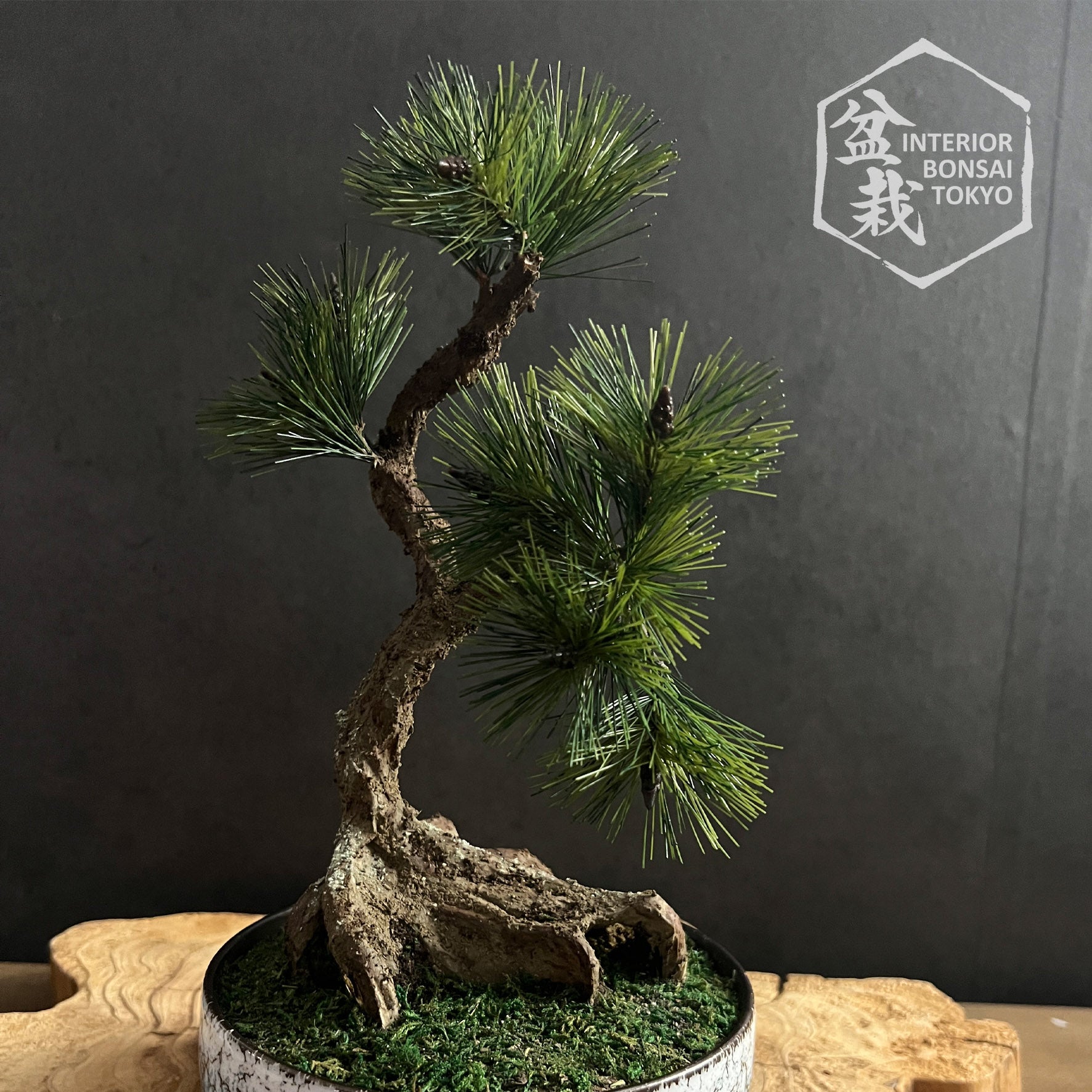 artificial bonsai tree for sale Artificial Bonsai】Toshiie
