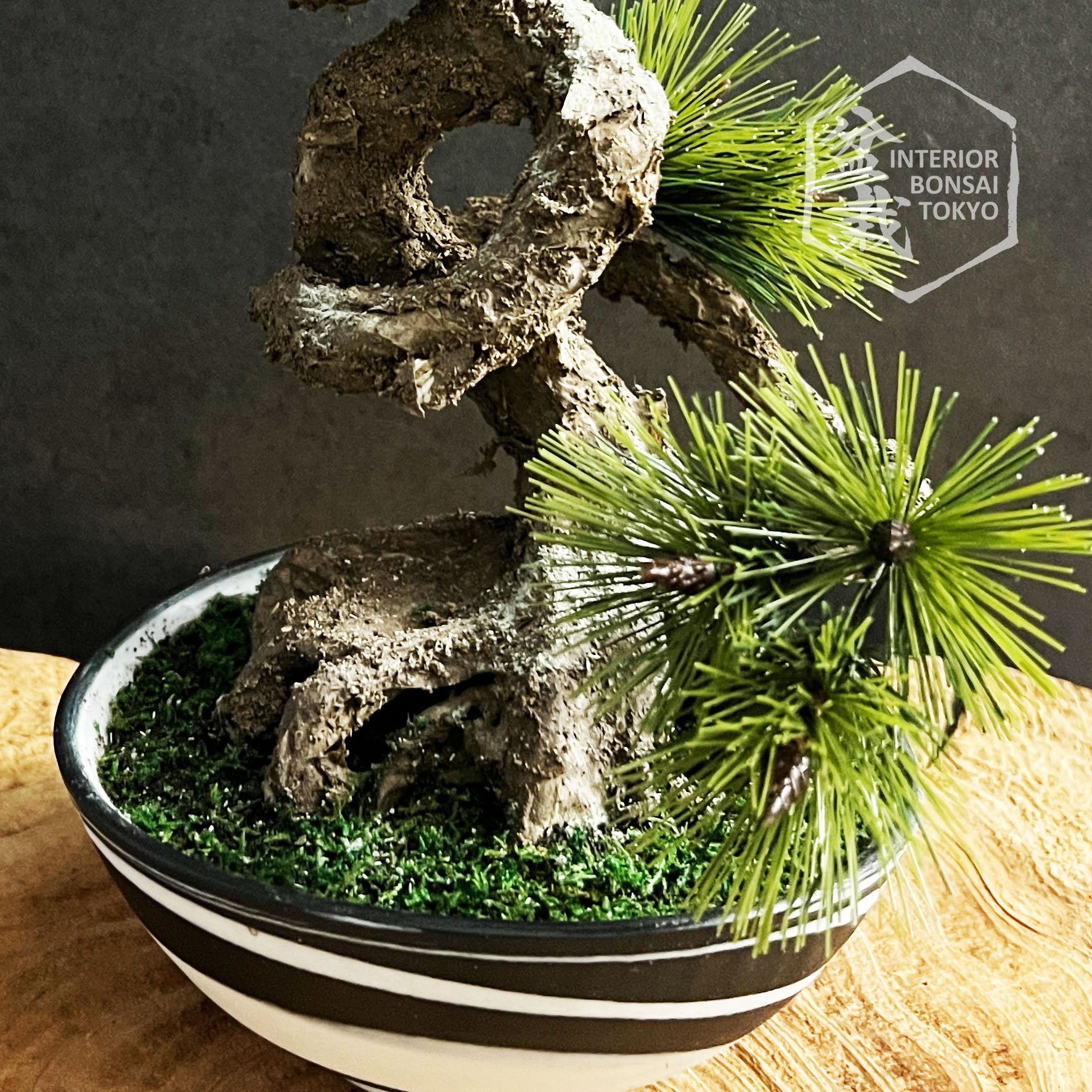 artificial bonsai pine tree Artificial Bonsai】Yoshitoki