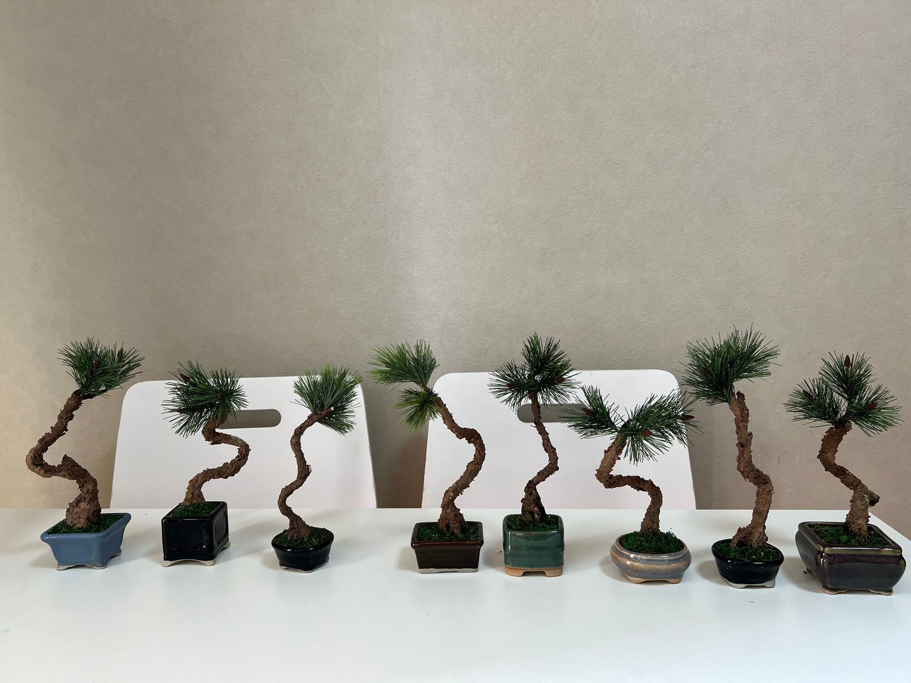 ARTIFICIAL BONSAI Workshop in ASAKUSA